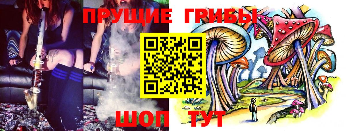 Избербаш  Псилоцибиновые грибы Psilocybine cubensis  Вход с VPN 