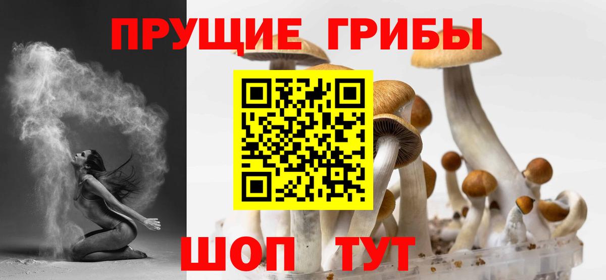 Конопля Избербаш